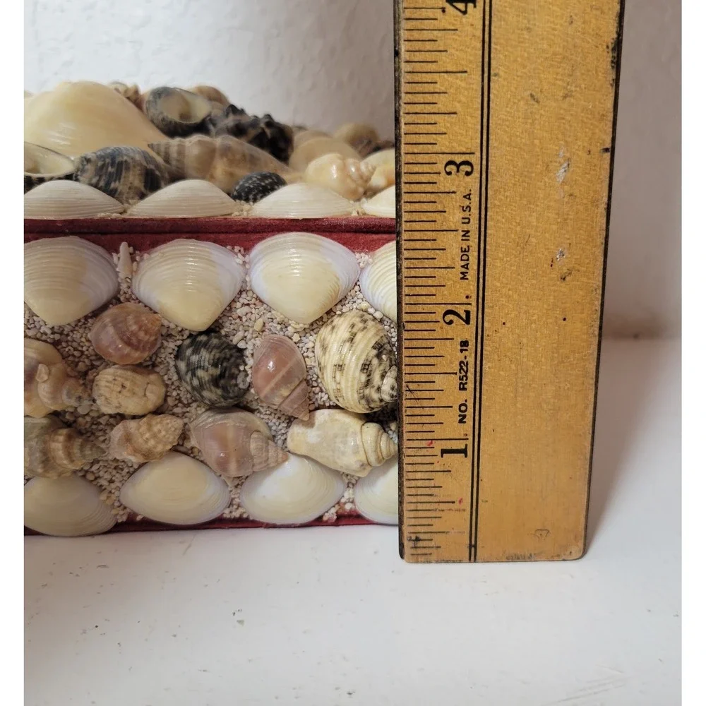 Vintage‎ Sea Shell  Trinket Jewelry Red  Felt Lining